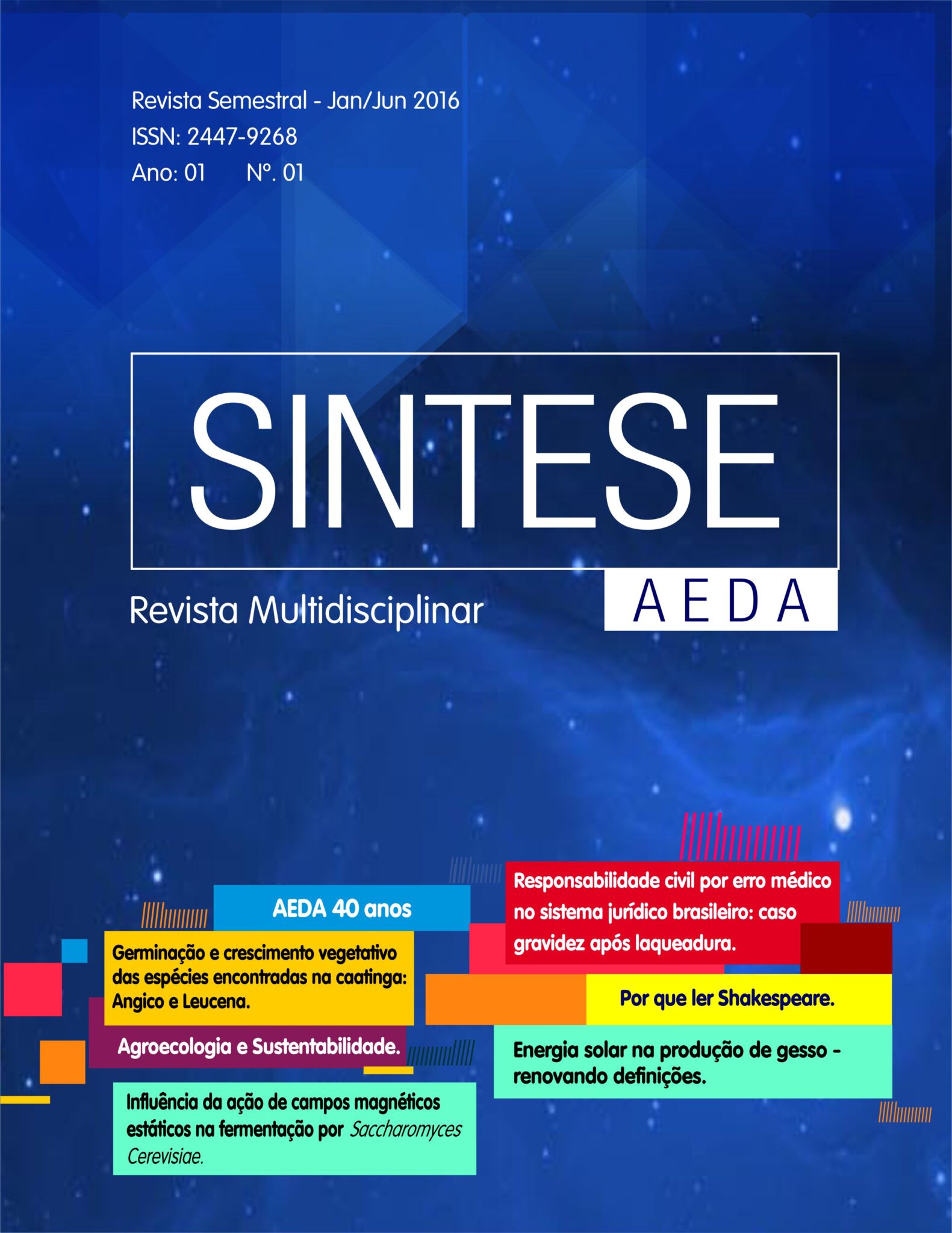 Lançamento da Revista Síntese AEDA.