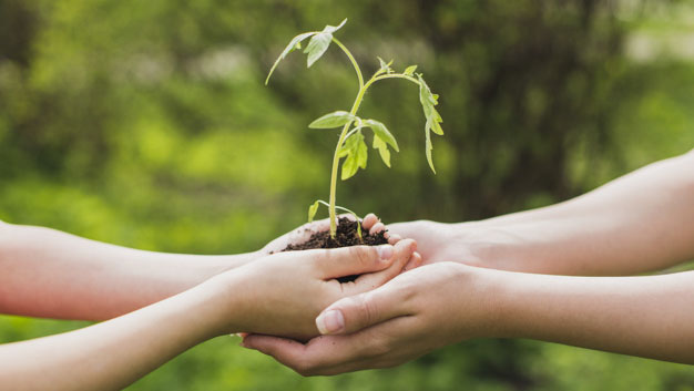 Pós em Gestão Agroambiental